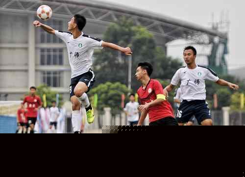 德国球队本赛季场均上座人数：多特8.1万人第1，拜仁7.5万第2（德国球队本季场均上座榜：多特8.1万人领跑，拜仁7.5万人居次）